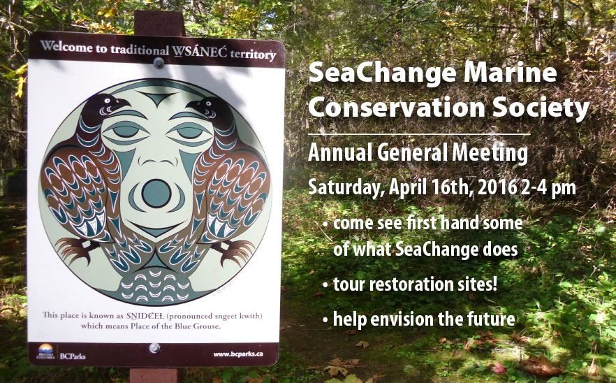 a poster for SeaChange' AGM in SNIDCEL 2016