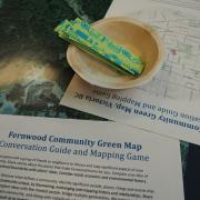 Fernwood conversation guide and mapping game by Dan Dougherty