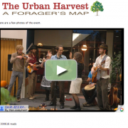 Urban-Harvester-webpage-screenshot-2016-06-15-3years-300616-reads