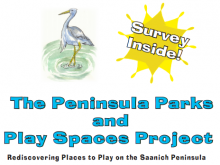peninsula park play spaces survey screenshot